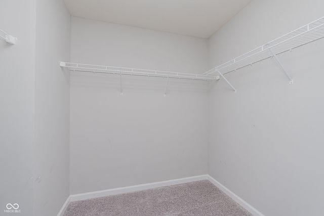 243 Alvor Court, Cicero, IN 46034