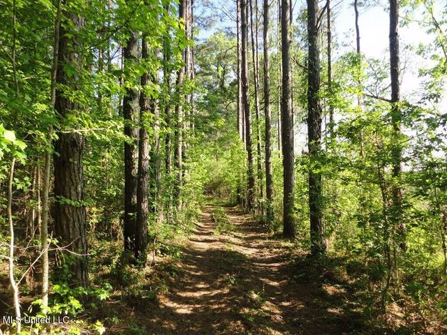 0000 Maurice Road, Magnolia, MS 39652