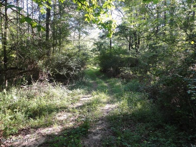 0000 Maurice Road, Magnolia, MS 39652