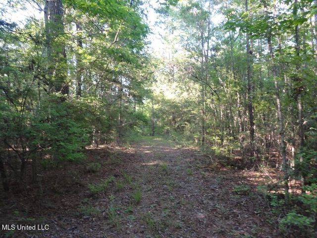 0000 Maurice Road, Magnolia, MS 39652