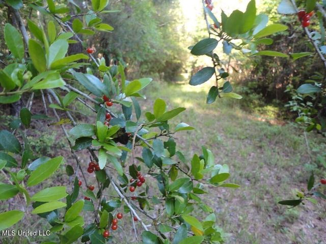 0000 Maurice Road, Magnolia, MS 39652