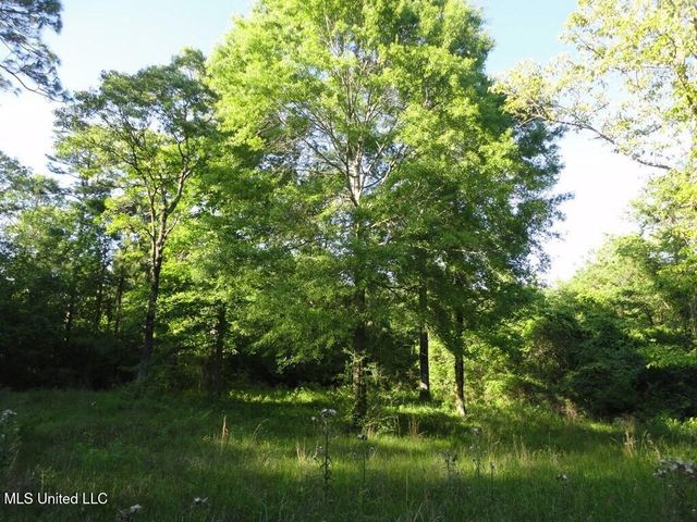 0000 Maurice Road, Magnolia, MS 39652