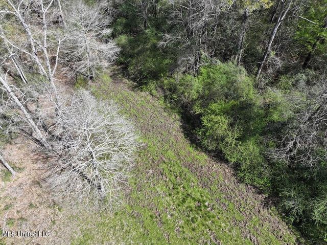 0000 Maurice Road, Magnolia, MS 39652