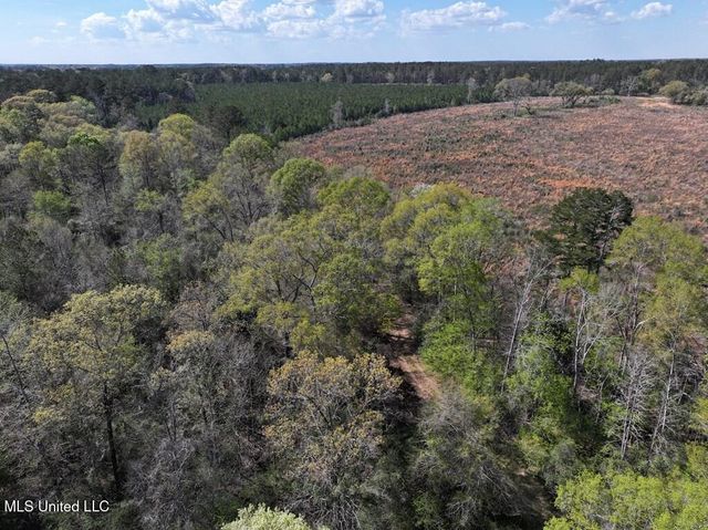 0000 Maurice Road, Magnolia, MS 39652