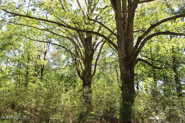 0000 Maurice Road, Magnolia, MS 39652