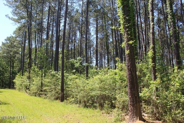 0000 Maurice Road, Magnolia, MS 39652