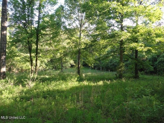 0000 Maurice Road, Magnolia, MS 39652