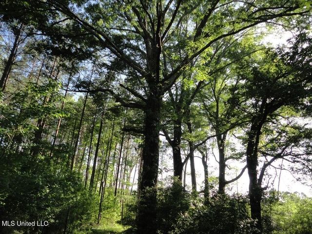 0000 Maurice Road, Magnolia, MS 39652