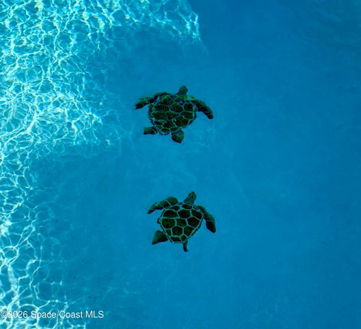 282 Heritage Street SW, Palm Bay, FL 32908