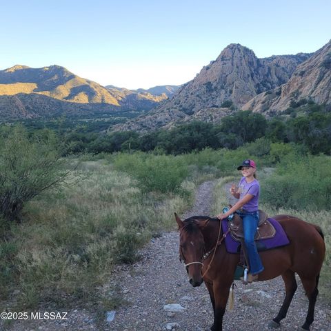 1055 W Dream Catcher Way, Cochise, AZ 85606