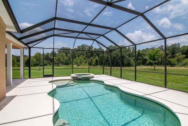 8703 ALAFIA HILLS DRIVE, Plant City, FL 33567