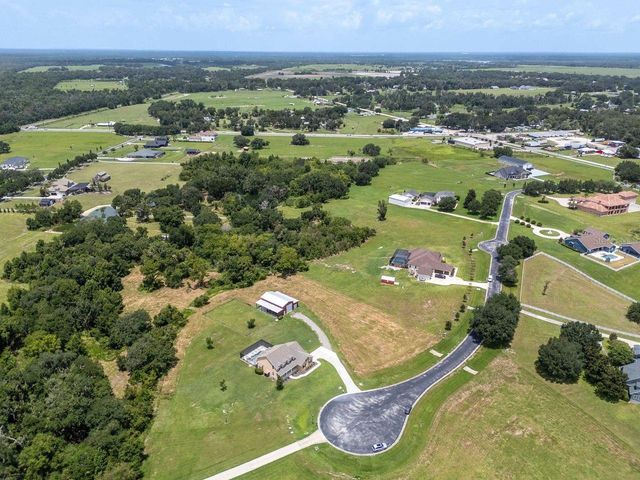 8703 ALAFIA HILLS DRIVE, Plant City, FL 33567