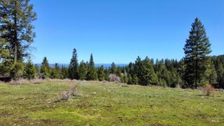 TBD 2138 P 4 Old White Bird Hill Rd, Grangeville, ID 83530