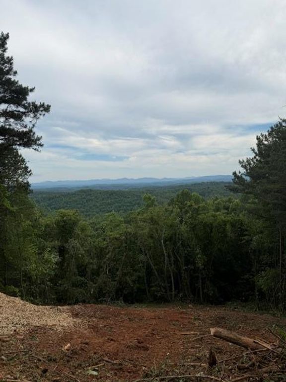 0 Lookout Drive, Blue Ridge, GA 30015