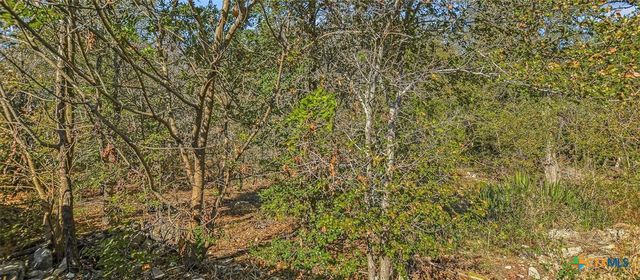 3908 Holt Drive, Austin, TX 78749