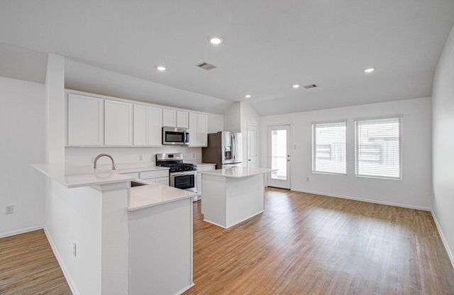 22242 Scarlino Drive, Hockley, TX 77447