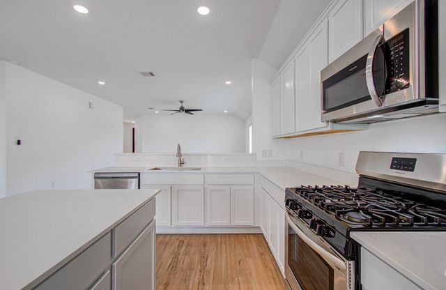 22242 Scarlino Drive, Hockley, TX 77447