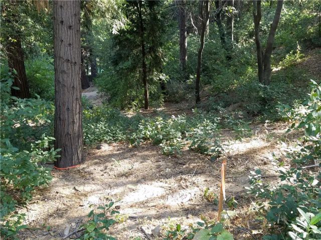 24093 Zurich, Crestline, CA 92325