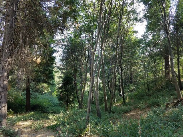 24093 Zurich, Crestline, CA 92325