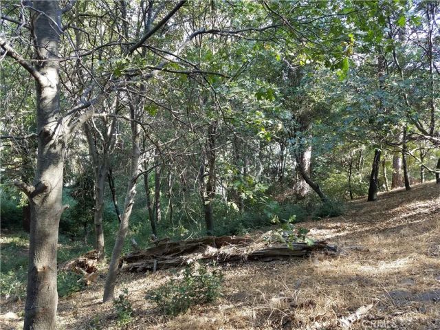 24093 Zurich, Crestline, CA 92325