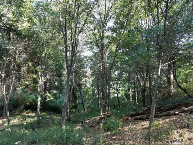 24093 Zurich, Crestline, CA 92325