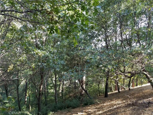 24093 Zurich, Crestline, CA 92325