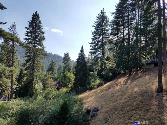 24093 Zurich, Crestline, CA 92325