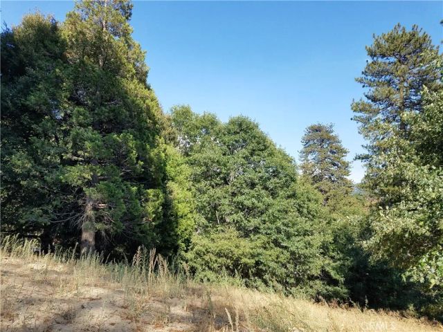 24093 Zurich, Crestline, CA 92325