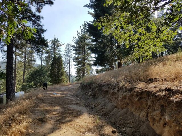 24093 Zurich, Crestline, CA 92325