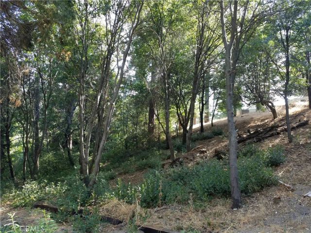 24093 Zurich, Crestline, CA 92325