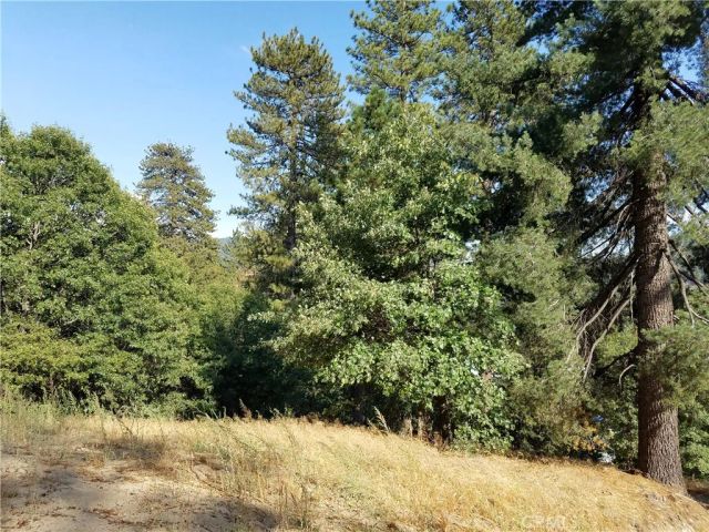 24093 Zurich, Crestline, CA 92325
