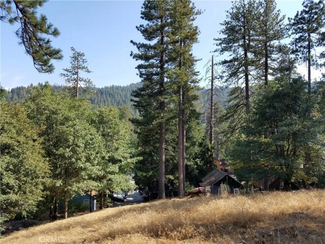 24093 Zurich, Crestline, CA 92325