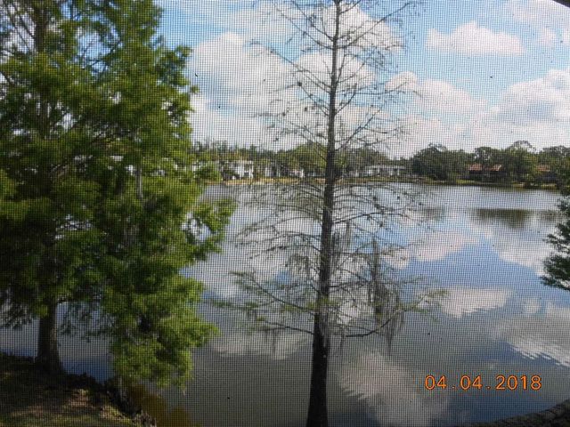 284 WOODLAKE WYNDE, Oldsmar, FL 34677