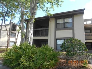 284 WOODLAKE WYNDE, Oldsmar, FL 34677