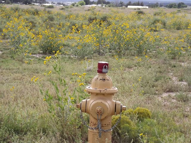 U.S. Rt. 66 E (Tr 2-A-2-D), Moriarty, NM 87035