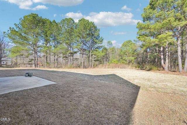 140 Thorntons Creek Drive, Erwin, NC 28339