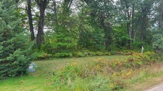 Lot 31 Tara Drive, Oakdale, WI 54660