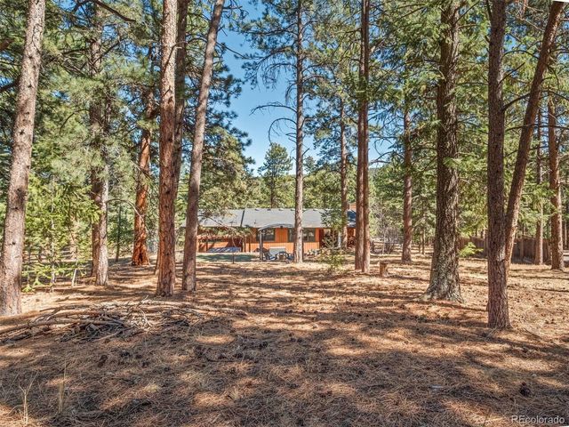 8815 Rudd Road, Evergreen, CO 80439