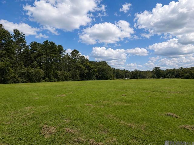 38235 N Walker Rd, Walker, LA 70785