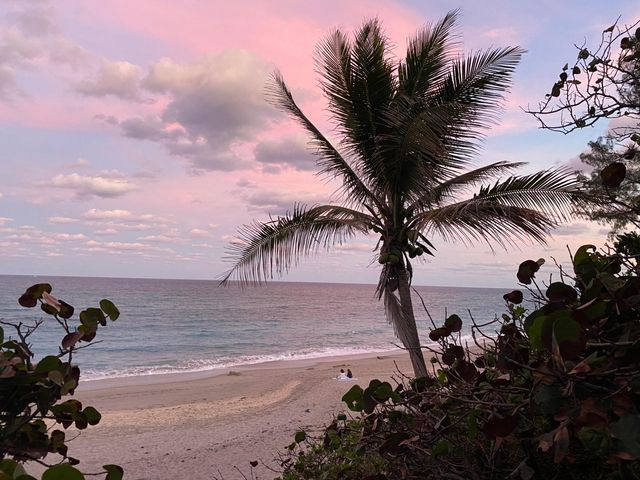 460 Surfside Lane, Juno Beach, FL 33408