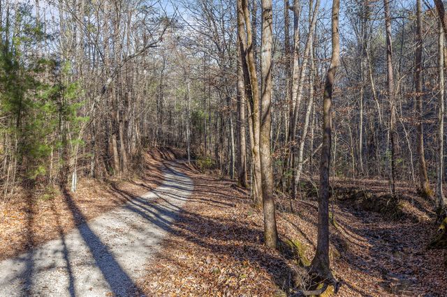 310 Rural Vale Road, Tellico Plains, TN 37385