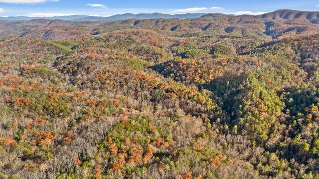 310 Rural Vale Road, Tellico Plains, TN 37385
