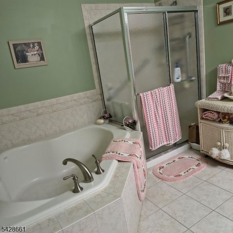 15 Zachary Way 9615, Mount Arlington Boro, NJ 07856