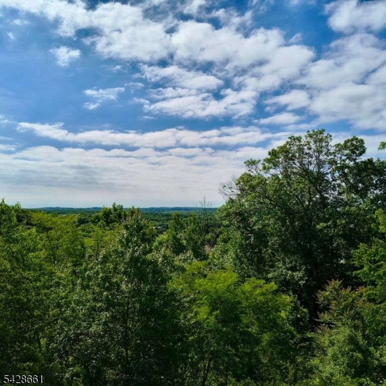 15 Zachary Way 9615, Mount Arlington Boro, NJ 07856 — photo 4