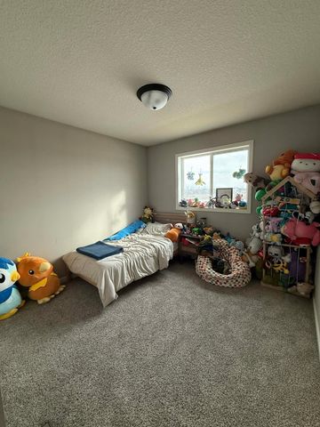 19813 English Avenue N, Forest Lake, MN 55025