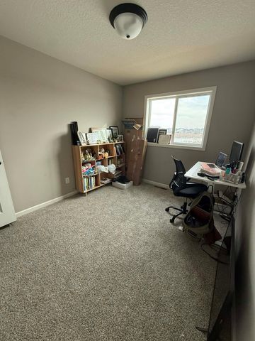 19813 English Avenue N, Forest Lake, MN 55025