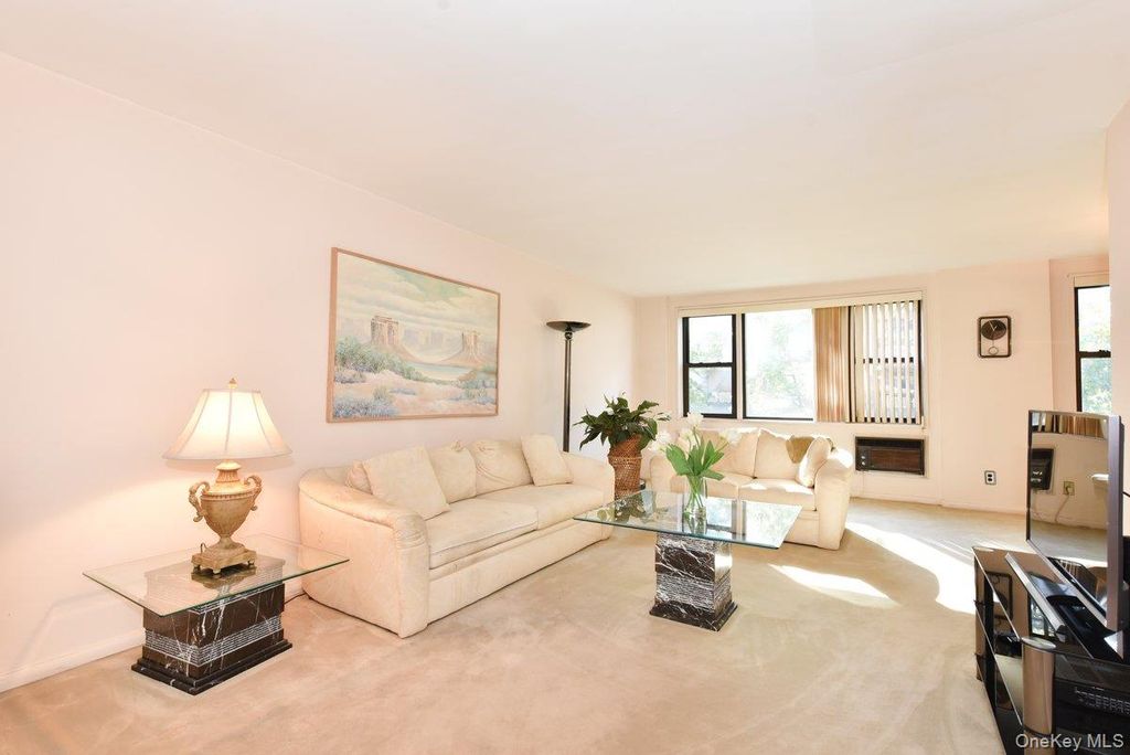 6 Birchwood Court 3F, Mineola, NY 11501 — photo 2