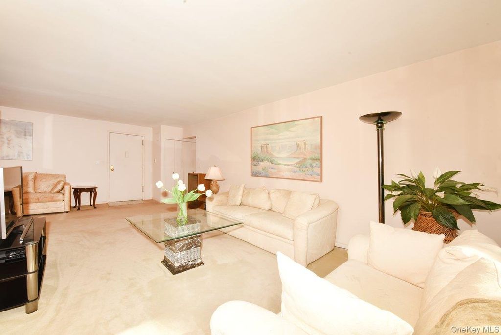 6 Birchwood Court 3F, Mineola, NY 11501 — photo 3