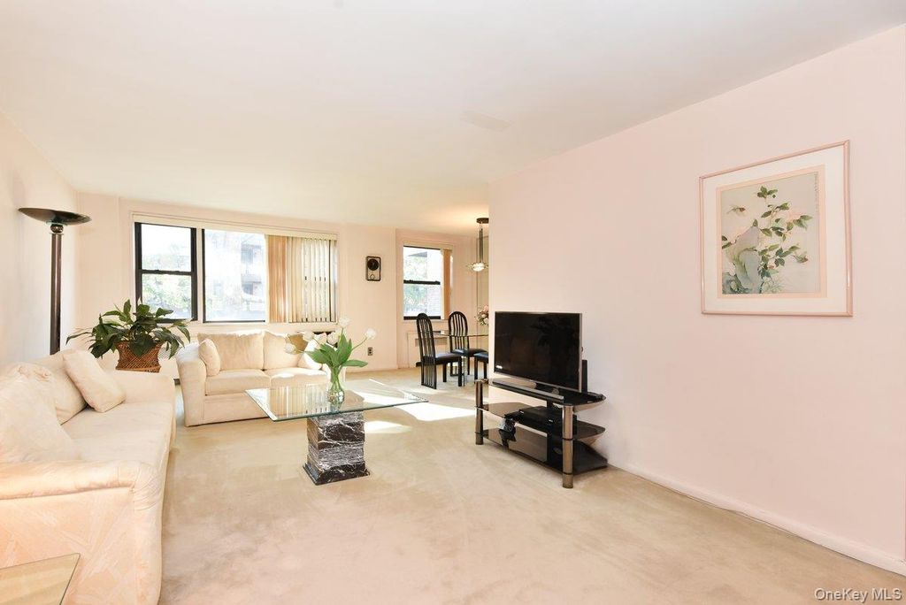 6 Birchwood Court 3F, Mineola, NY 11501 — photo 4