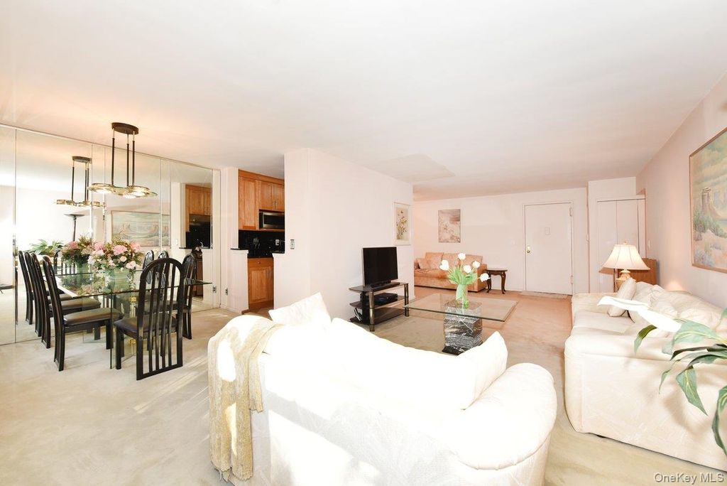 6 Birchwood Court 3F, Mineola, NY 11501 — photo 5